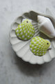 Lime green handpainted shell earrings in a checkered pattern in a shell